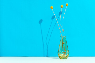 Billy buttons in a vase over blue background with copy space