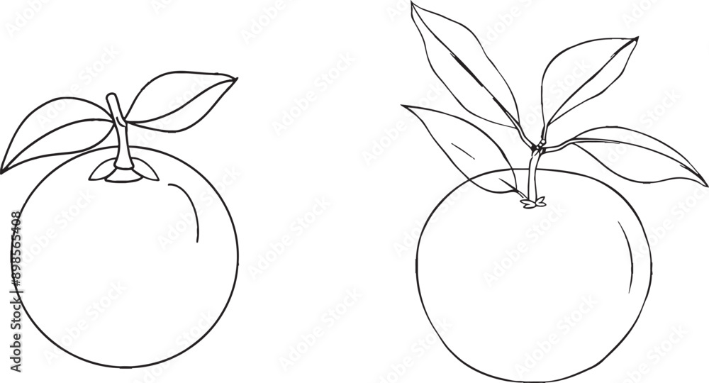 Poster A continuous one-line drawing of Orange Fruit with a Leaf. A slice of orange fruit is hand drawn in one line art modern illustration.
