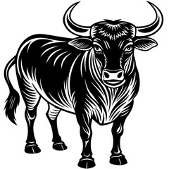Fototapeta premium black and white bull 