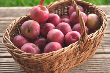 Big Red Apples In Farm Basket. Wicker Basket of ripe fresh apples. Product extracted from Apple. Autumn And Harvest Concept. Apple Orchard, Harvesting. Fruit Garden at Fall Crop. Sunny Day, Shadow