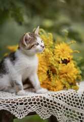 A photo of a small kitten near a bouquet of yellow flowers.
