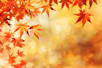 Fototapeta premium autumn leaves background