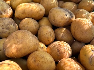 Potatoes raw vegetables new potato