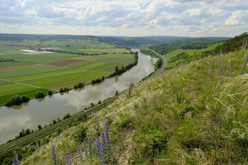 Naturschutzgebiet Grainberg-Kalbenstein am Main bei Karlstadt, Landkreis Main-Spessart,...