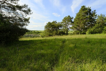 Naturschutzgebiet Grainberg-Kalbenstein am Main bei Karlstadt, Landkreis Main-Spessart,...