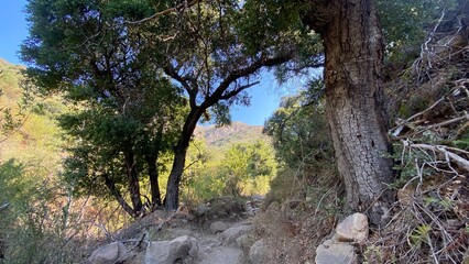 Through the trail by seaside hill