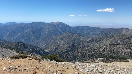 The forest view from above