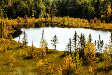 A small, roadside bog lake in Vilas County, northern Wisconsin,  with its changing colors from the tamaracks and bog plants in mid-September
