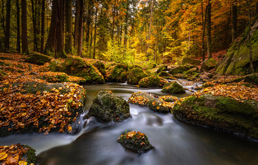 waterfall in autumn