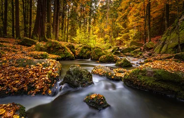 Fleecedeken met foto waterfall in autumn © Inna