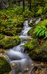 waterfall in autumn forest
