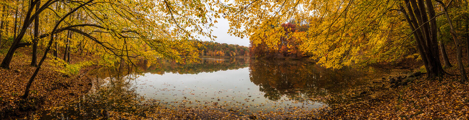 Autumn forest lake panorama. Autumn lake panoramic landscape. Autumn panoramic landscape