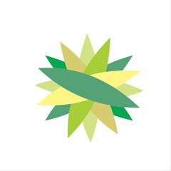 leaves isolated on white background