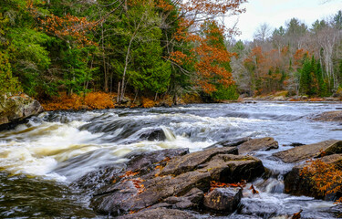 waterfall in autumn forest