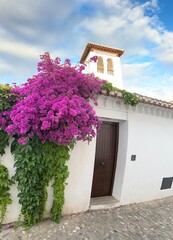 andalicua architecture