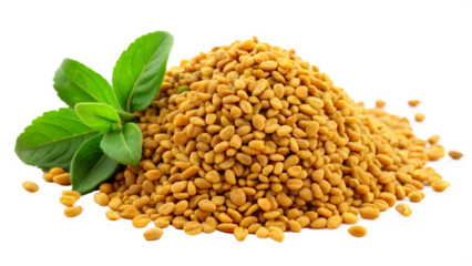 Healthy spice fenugreek seed on white or transparent background