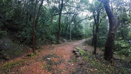 Idyllic hiking route in Matheran hill station, showcasing the beauty of the surrounding nature