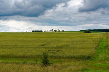 Obraz premium Landschaft entlang der Wern bei Pfersdorf, Gemeinde Poppenhausen, Landkreis Schweinfurt, Unterfranken, Bayern, Deutschland