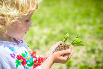 Celebrating Independence Day of Ukraine With Flag Day and the Planting of New Life