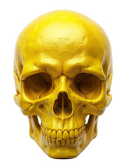 Obraz premium A vibrant yellow skull model showcasing intricate details and anatomical features. The model stands out with its bold color and detailed craftsmanship. Isolated on transparent background, png.