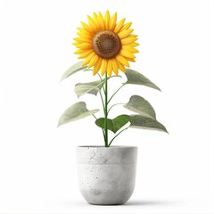 Obraz premium Hyper-Realistic Illustration of Tall Sunflower in Stylish Pot - Realistic Textures, Detailed Rendering on White Background