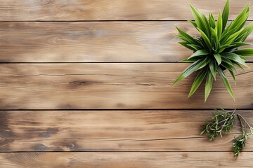 A green plant placed on a rustic wooden background, highlighting indoor freshness and natural decor.