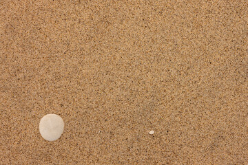 Two small white stones contrast against the beach sand at Kohler-Andrae State Park, Sheboygan, Wisconsin in late February