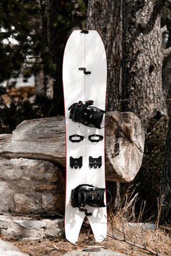 White splitboard stands on the grass, leaning against a log on a rock next to wood