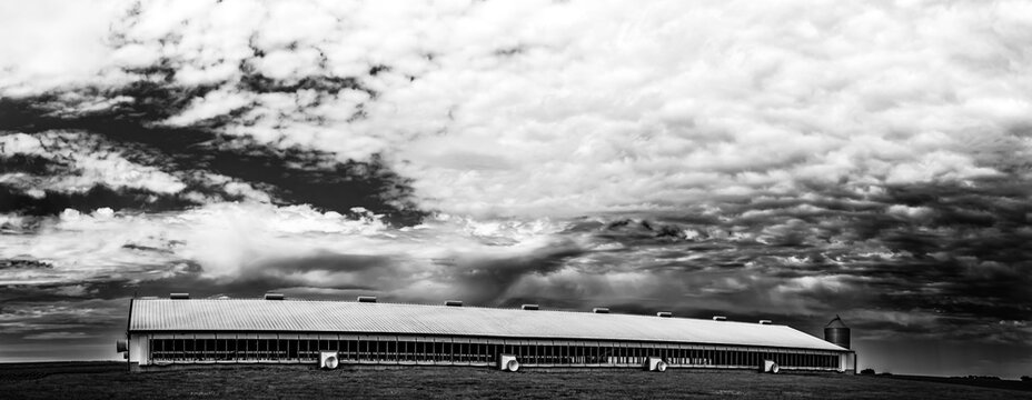 Hog animal confinement barn in a rural setting with cloudy skies 