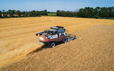 Obraz premium A large combine harvester moves across a golden field, collecting ripe grain under a clear blue sky.