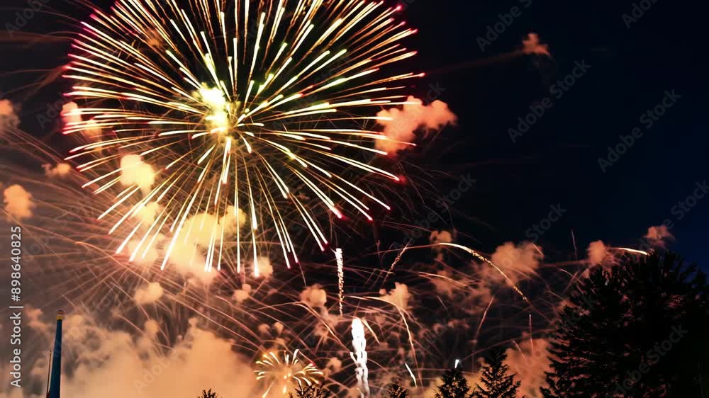 Poster fireworks explode in the night sky above dark trees, illuminating the clouds with colorful sparks.