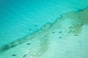 Shoab coast in Socotra - great area for sunbathing and swimming. You can spot a dolphins in this water!