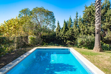 A peaceful swimming pool surrounded by lush green trees under a clear blue sky, capturing the essence of relaxation and outdoor tranquility in a sunny garden setting.