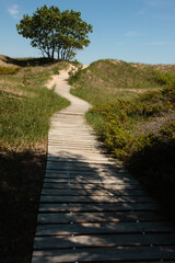 Boardwalk trail, providing protection to the sand dunes,  leads to the Lake Michigan beach at Kohler-Andrae State Park, Sheboygan, Wisconsin in early June.