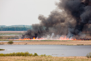 Fototapeta premium A controlled burn on the marsh in spring within the Horicon National Wildlife Refuge, near Waupun, Wisconsin.