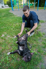 A man scratches the belly of a pit bull terrier while walking. 