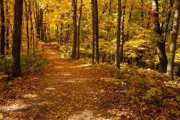 A shaded hiking trail through the woods within the Pike Lake Unit, Kettle Moraine State Forest,...