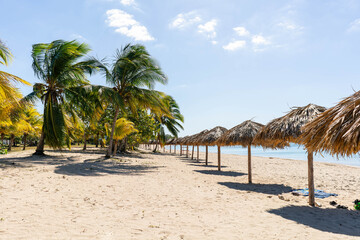 beach in the caribbean with trees and parasols on a sunny day with blue sea