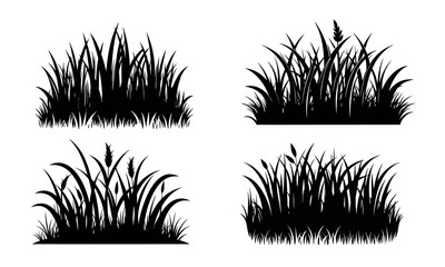 Grass and plants detailed silhouettes.vector