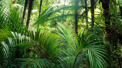 green foliage in a tropical jungle