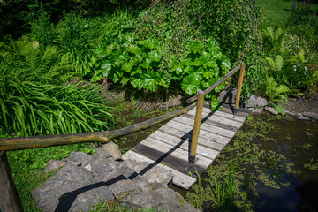 Obraz premium A wooden footbridge with a railing by the pond.