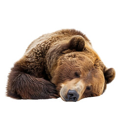 Fototapeta premium Lazy tired brown bear sleeping hibernation on relaxing cozy pillow representing market crash