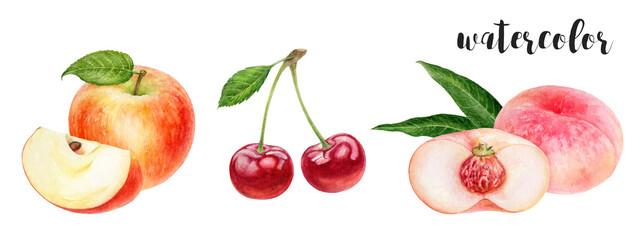 Watercolor of fruit and leaves is ideal for botanical art, adding a natural touch to your decor