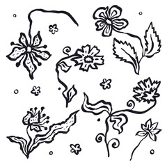 Ink brush abstract flowers sketches set isolated on white. Black silhouettes of doodle florals