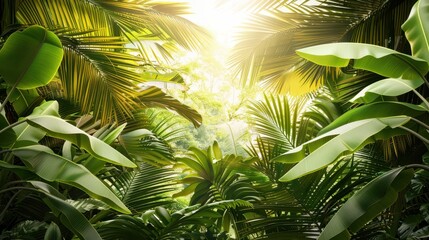 Lush tropical leaves in a dense forest with sunlight filtering through, creating a vibrant and exotic atmosphere.