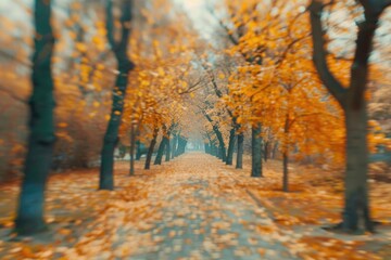 A scenic road surrounded by trees with abundant leaves on the ground
