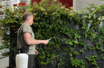 A man with a Compression sprayer sprays the plant.
