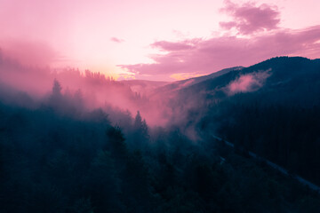 Fototapeta premium Mountains with pine forest in the fog at sunset. Foggy landscape with fir forest.