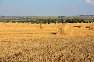 a large field of hay with a large amount of hay bales in it 