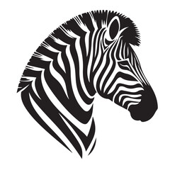  zebra Silhouette vector white back ground